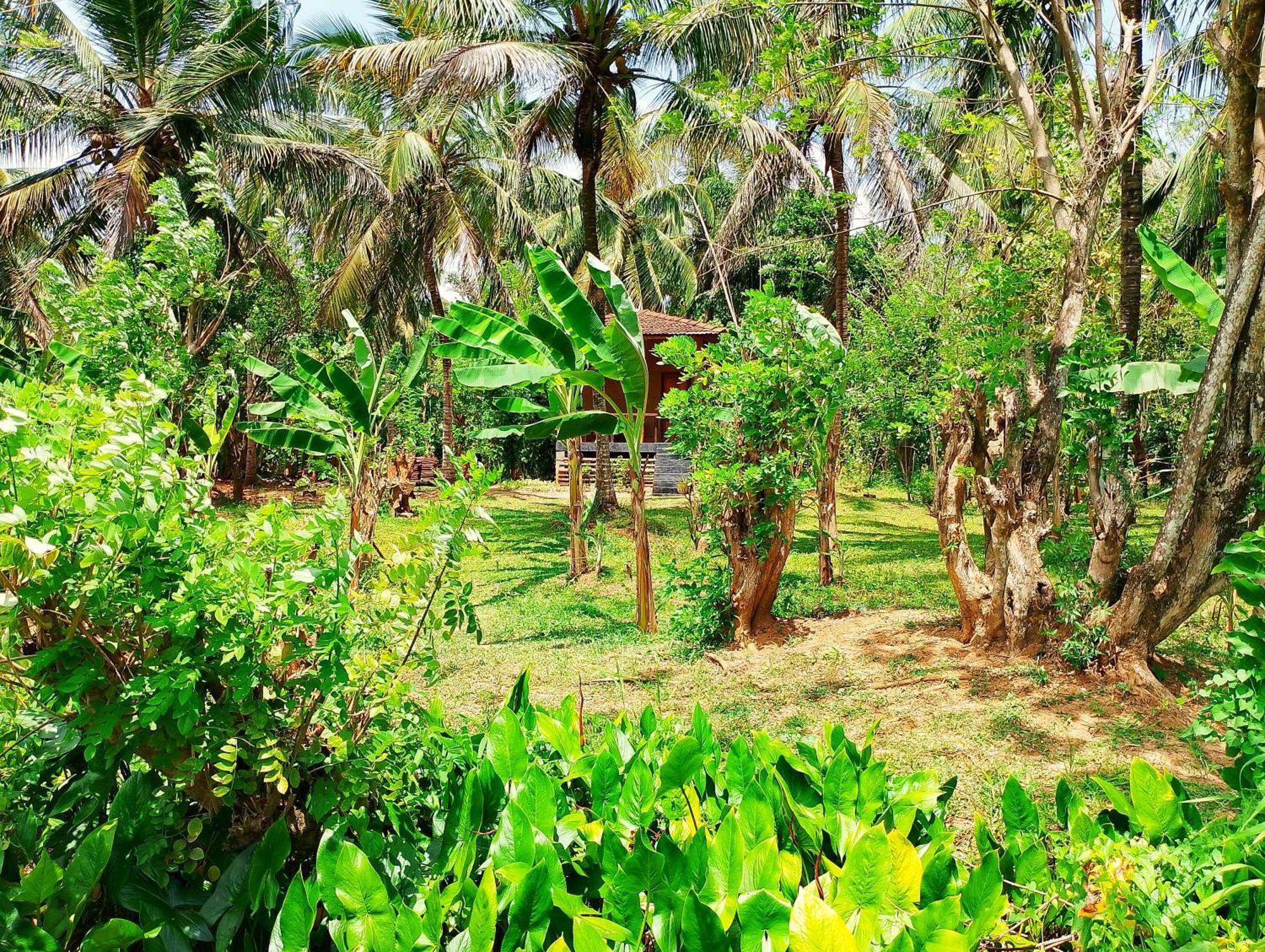 Milk House Cottage Udawalawe Exterior photo
