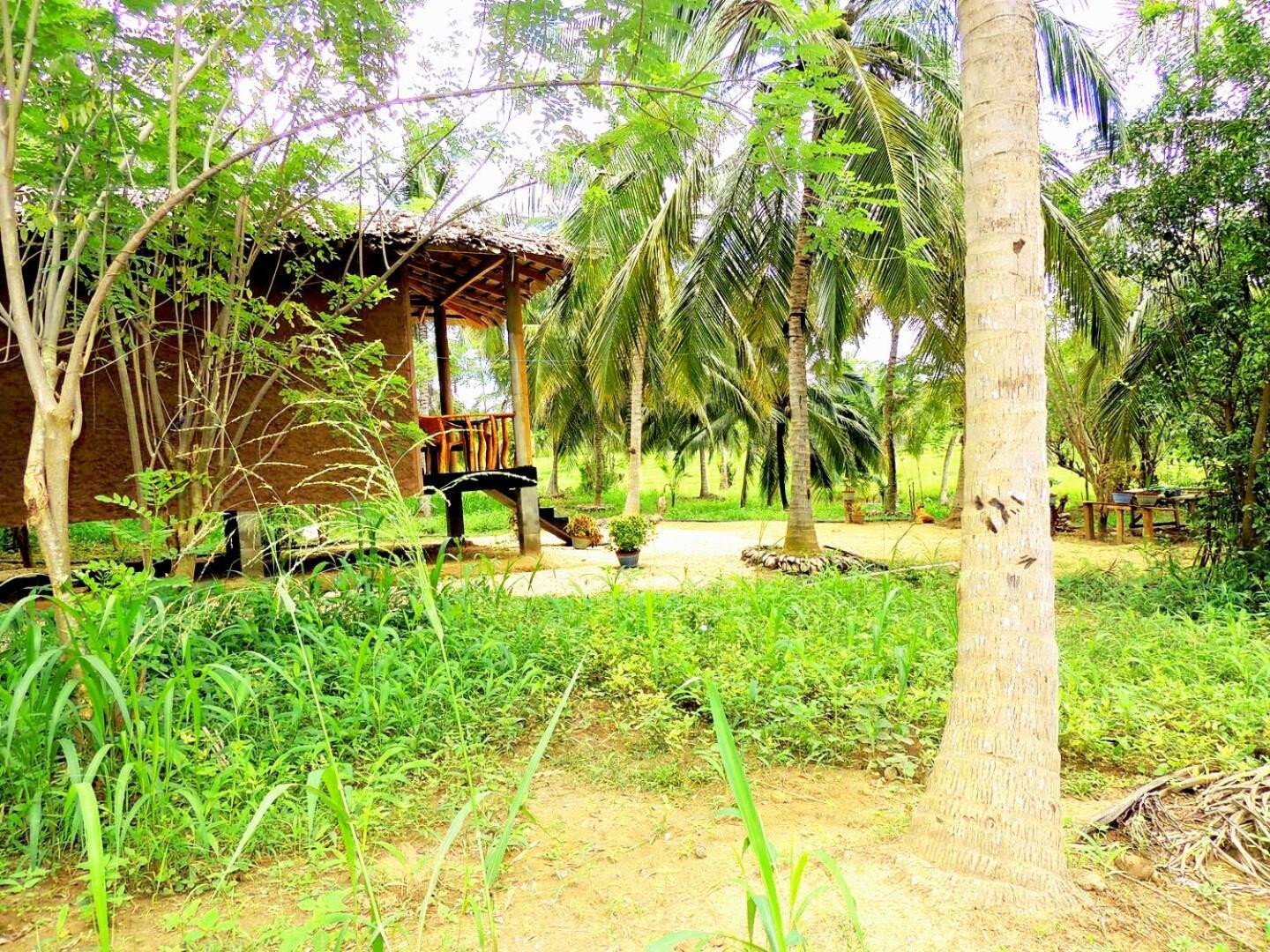 Milk House Cottage Udawalawe Exterior photo